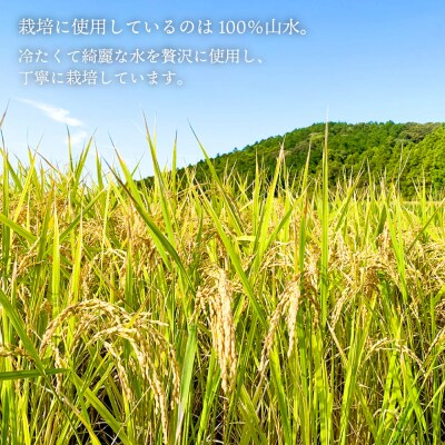  ヒノヒカリ 5kg 糸島王丸農園(谷口汰一)【いとしまごころ】[AAZ010]