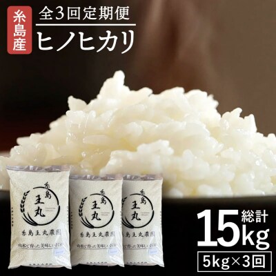 【全3回定期便】ヒノヒカリ5kg×3回 糸島王丸農園(谷口汰一)【いとしまごころ】[AAZ011]