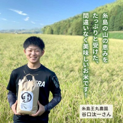 ミルキークイーン 10kg 糸島王丸農園(谷口汰一)【いとしまごころ】[AAZ018]