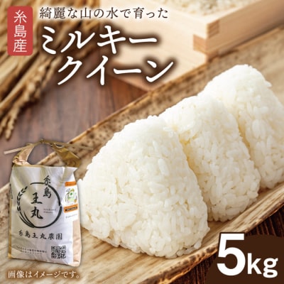 ミルキークイーン 5kg 糸島王丸農園(谷口汰一)【いとしまごころ】[AAZ019]