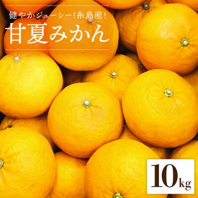 健やかジューシー・夏の味 糸島産甘夏みかんM-L玉・約10kg 二丈赤米産直センター[ABB006]