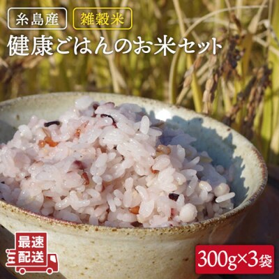 雑穀米 健康ごはんのお米セット 900g(300g×3P)  黒米 [ABB017]