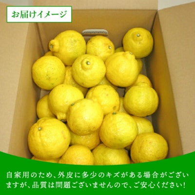 爽やかに甘い!糸島産「はるか」自家用 約5kg[ABB023]