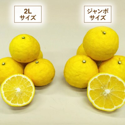 糸島産 「はるか」 ジャンボサイズ 約5kg(3L-4Lサイズミックス)[ABB031]