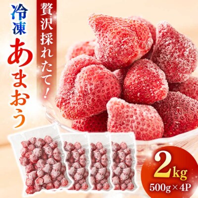 【農家直送!】 冷凍あまおう 2kg(500g×4パック)いちご 苺 糸島市[ABD007]