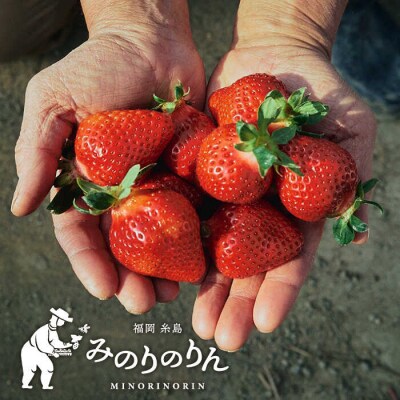 【農家直送!】 冷凍あまおう 2kg(500g×4パック)いちご 苺 糸島市[ABD007]