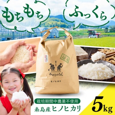 【栽培期間中農薬不使用!】糸島産ヒノヒカリ 5kg(※限定20袋) 糸島市[ABD008]
