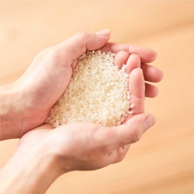 【栽培期間中農薬不使用!】糸島産ヒノヒカリ 5kg(※限定20袋) 糸島市[ABD008]