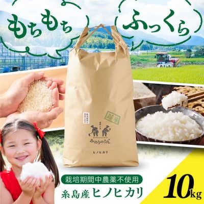 【栽培期間中農薬不使用!】糸島産ヒノヒカリ 10kg(※限定15袋) 糸島市[ABD009]