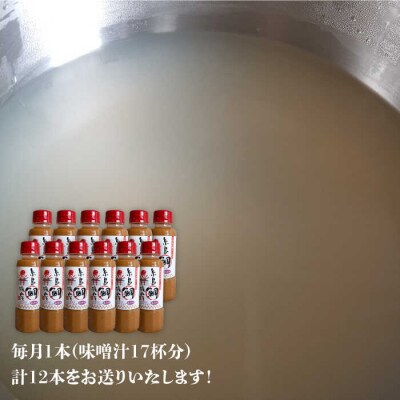 【全12回定期便】簡単 味噌汁 17杯分 糸島鯛液みそ 1本  [ABE022]