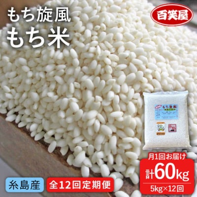 【全12回定期便】もち 旋風 もち米 5kg 《糸島》【百笑屋】 [ABF037] 米 お米