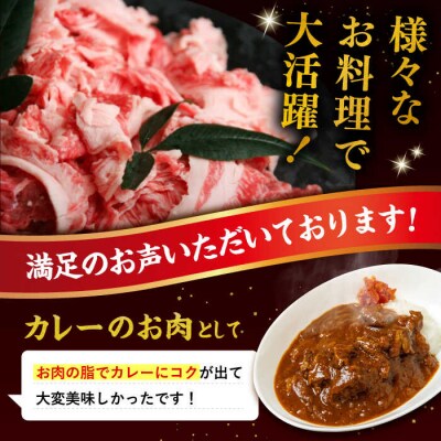 博多和牛 切り落とし 1.5kg (500g×3P) 糸島 【幸栄物産】  [ABH008] 