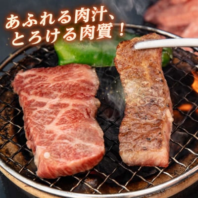 【全6回定期便】博多和牛 厚切りカルビ  1kg (500g×2P)【幸栄物産】[ABH039]