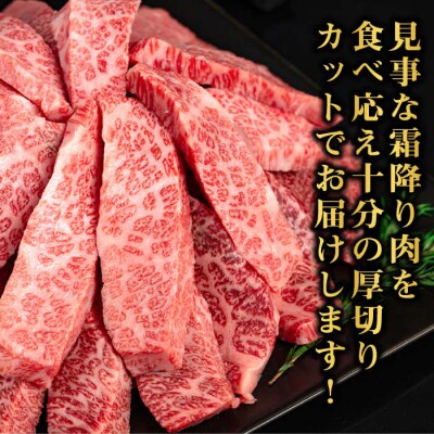 【全6回定期便】博多和牛 厚切りカルビ  1kg (500g×2P)【幸栄物産】[ABH039]