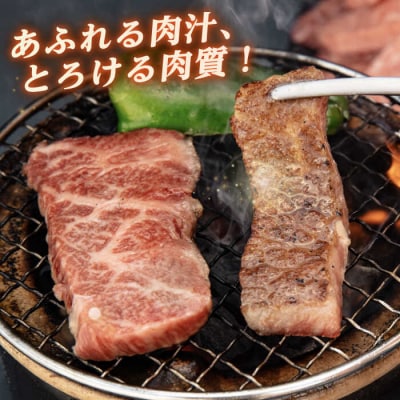 【全12回定期便】博多和牛 厚切りカルビ 1kg (500g×2P) 【幸栄物産】[ABH040]