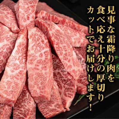 【全12回定期便】博多和牛 厚切りカルビ 1kg (500g×2P) 【幸栄物産】[ABH040]