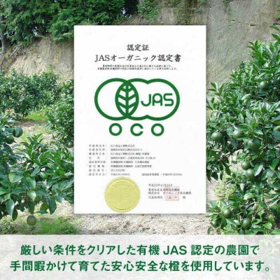 オーガニック だいだい 果汁 1L 《糸島》 【山口食品株式会社】 [ABI002]