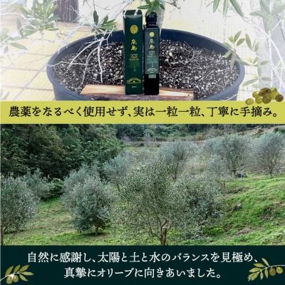 エキストラバージン オリーブ オイル 1本(200ml)「糸島」 糸島市  [ABM001]