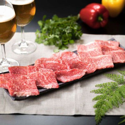 A4ランク 黒毛和牛 焼肉 3品盛 600g 入り【糸島ミートデリ工房】 [ACA015]
