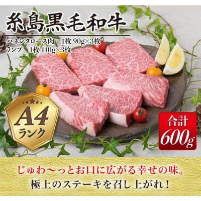 【極上 ステーキ】合計 600g (6枚入) ハネシタロース ランプ A4ランク [ACA041]