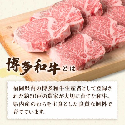 【厚切ヒレステーキ】120g×8枚 A4ランク 博多和牛 糸島【糸島ミートデリ工房】[ACA046]