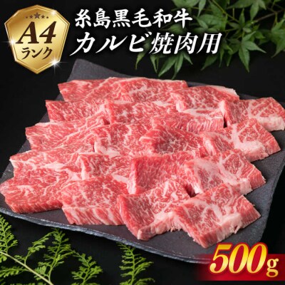 【焼肉用】A4ランク 糸島 黒毛和牛 カルビ 500g  【糸島ミートデリ工房】 [ACA049]