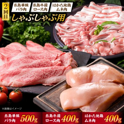 お肉の定期便 全5回(月1回)【牛肉 豚肉 鶏肉 ヒレ シャトーブリアン ロース】[ACA083]