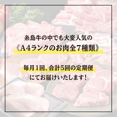 お肉の定期便 全5回(月1回)【牛肉 豚肉 鶏肉 ヒレ シャトーブリアン ロース】[ACA084] 