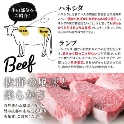 【全6回定期便】ステーキ合計600g(6枚入)ハネシタロース ランプ A4ランク[ACA170]
