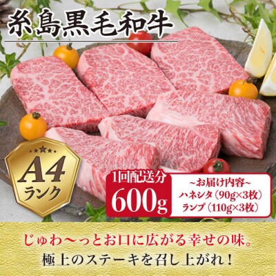 【全6回定期便】ステーキ合計600g(6枚入)ハネシタロース ランプ A4ランク[ACA170]