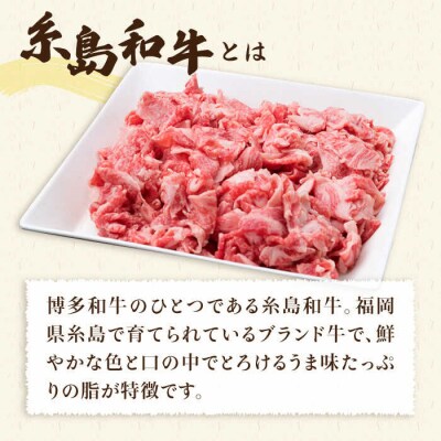 【全12回定期便】牛肉豚肉鶏肉 日常使いの精肉セット1,930g 4-5人前4種 [ACA199]