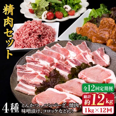【全12回定期便】メインのおかずを彩る精肉セット4種(1,050g) 2、3人前 [ACA203]
