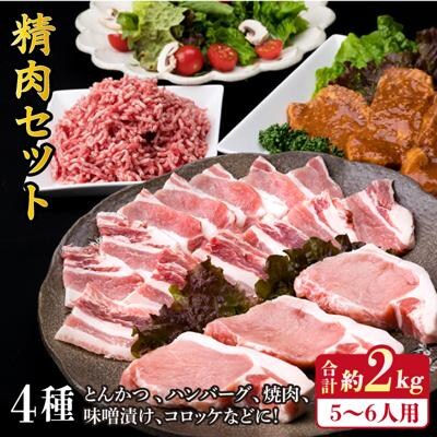【豚肉&牛肉セット】メインのおかずを彩る精肉セット4種(約2キロ) 5、6人前 [ACA204]