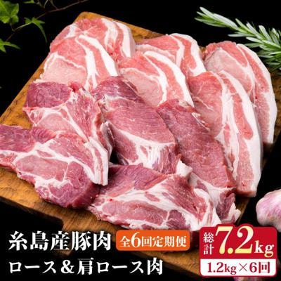 【全6回定期便】糸島産豚肉ロース肉6枚 肩ロースカツ5枚 合計11枚セット《糸島》[ACA230]