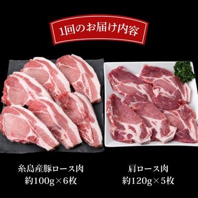 【全6回定期便】糸島産豚肉ロース肉6枚 肩ロースカツ5枚 合計11枚セット《糸島》[ACA230]