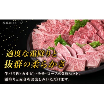 【全6回定期便】A4 糸島 黒毛和牛 焼肉バーベキュー セット3品盛り1500g入り[ACA285]