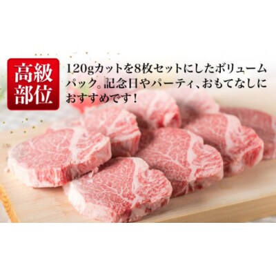 【全3回定期便】【厚切ヒレステーキ】120g×8枚 A4ランク 博多和牛 糸島市 [ACA290]