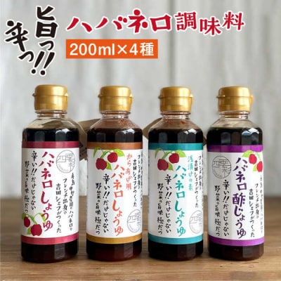 ハバネロ調味料200ml4本セット【シェフのごはんやさん四季彩】[ACC008]