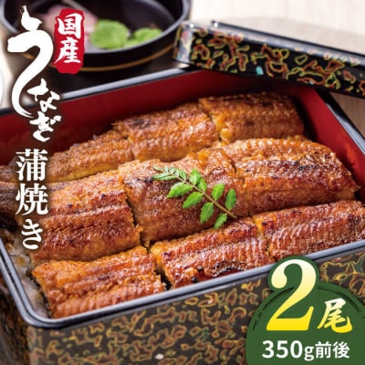北ノ屋 (梅) うなぎ 蒲焼き 2尾セット 北ノ屋うなぎ [ACL003] 鰻 かばやき