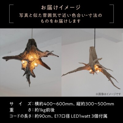 3Bulb Driftwood pendantlight ペンダントライト  [ADC005]
