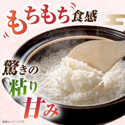 【精米方法が選べる!】ミルキークイーン5kg(1袋)【新飼宗一郎商店】[ADE001]