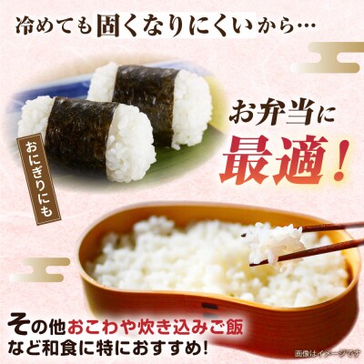 【全6回定期便】 ミルキークイーン5kg【玄米・精米専門店 新飼宗一郎商店】[ADE005]