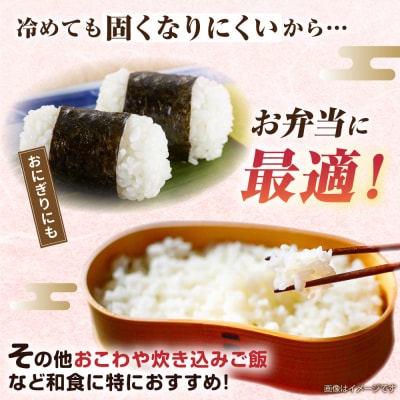 【全12回定期便】ミルキークイーン5kg 玄米・精米専門店 新飼宗一郎商店[ADE014]
