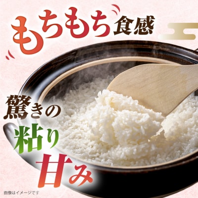 【全12回定期便】ミルキークイーン10kg(5kg×2)新飼宗一郎商店[ADE016]