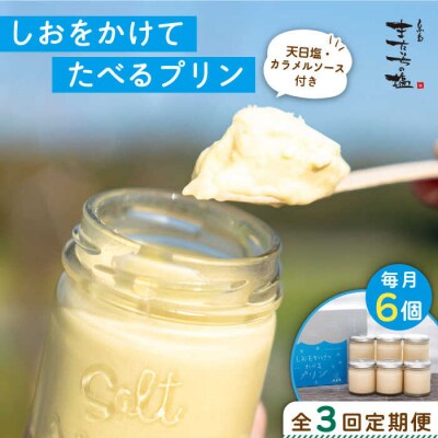 【全3回定期便】しおが主役 しおをかけてたべる プリン 花塩 プレーン 6個セット[AEB007]