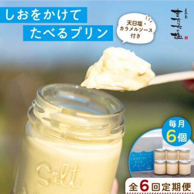 【全6回定期便】しおが主役 しおをかけてたべる プリン 花塩 プレーン 6個セット[AEB008]