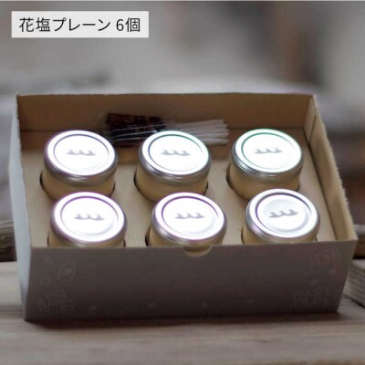 【全6回定期便】しおが主役 しおをかけてたべる プリン 花塩 プレーン 6個セット[AEB008]
