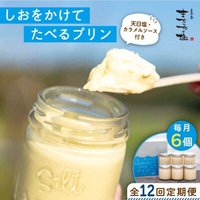 【全12回定期便】しおが主役 しおをかけてたべる プリン 花塩 プレーン 6個セット[AEB009]