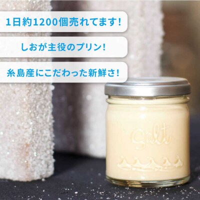【全12回定期便】しおが主役 しおをかけてたべる プリン 花塩 プレーン 6個セット[AEB009]