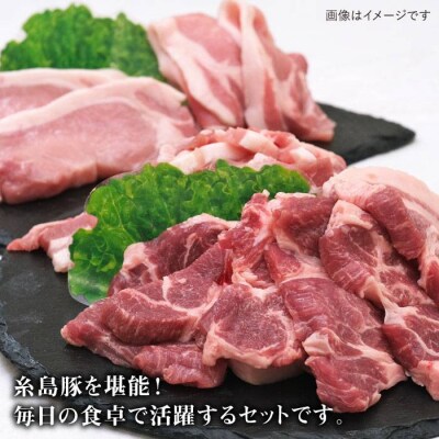 JA糸島 糸島豚 焼肉 トンカツ 生姜焼き セット /JA糸島産直市場 伊都菜彩[AED003]